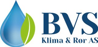 Logo BV VVS