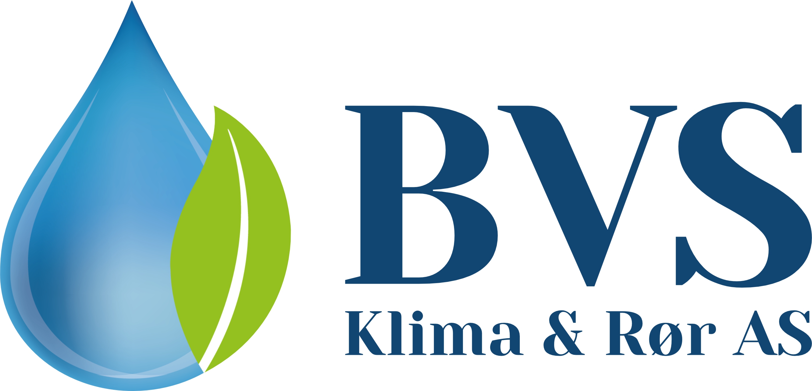 Logo BV VVS